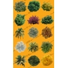 Pack : 15 top trees